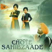Chote Sahibzaade