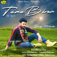 Tere Bina