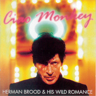 Herman Brood & His Wild Romance Discography