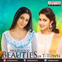 Mollywood Beauties Of T Town