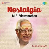 Nostalgia - M.S. Viswanathan