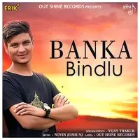 Banka Bindlu