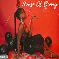 House of Bunny