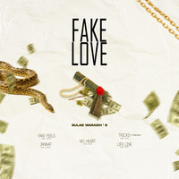 Fake Love