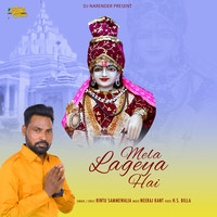 MELA LAGEA HAI