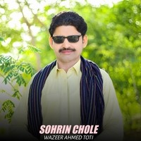 Sohrin Chole