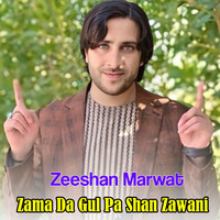 Zama Da Gul Pa Shan Zawani