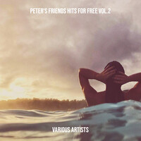Peter's Friends Hits for Free Vol.2