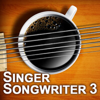 Singer Songwriter 3