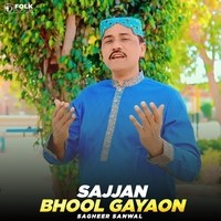 Sajjan Bhool Gayaon