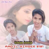 Aadil Singer 8181