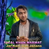 Jar Kalli wall Janana