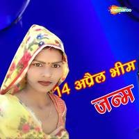 14 April Bhim Janm