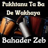 Pukhtanu Ta Ba De Wakhaya