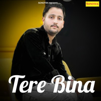 Tere Bina