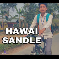 Hawai Sandle