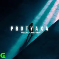 Protyaxa