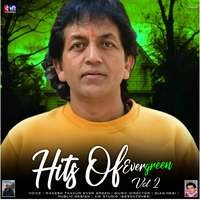 Hits Of Evergreen, Vol .02