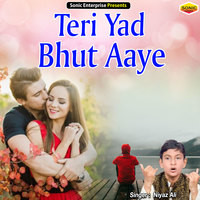 Teri Yad Bhut Aaye