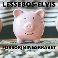 Försörjningskravet