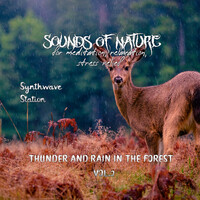 Sounds of Nature - Thunder and Rain in the Forest for Meditaion, Relaxation, Stress Relief, Vol. 2