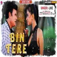 Bin Tere