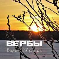 Вербы