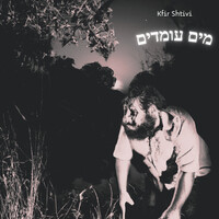 מים עומדים