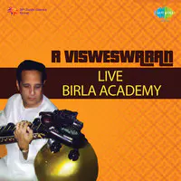 R Visweswaran Livebirla Academy Veena