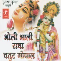 Bholi Bhali Radha Chatur Gopal