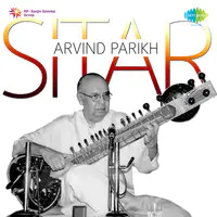 Arvind Parikh Sitar