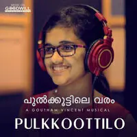 Pulkkoottilo