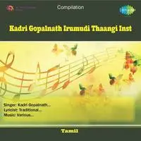 Kadri Gopalnath Irumudi Thaangi Inst