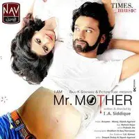 I Am Mr Mother