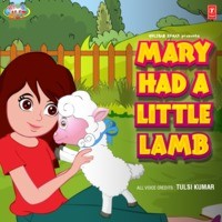 Mary Had A Little Lamb