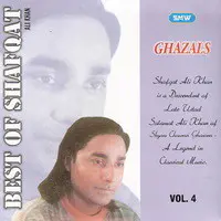 Best Of Shafqat Ali Khan Vol 4
