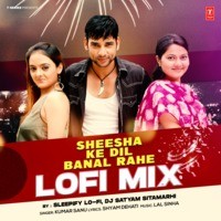 Sheesha Ke Dil Banal Rahe Lofi Mix