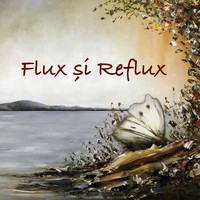 Flux Și Reflux