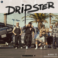 Dripster