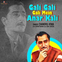 Gali Gali Gali Mein Anar Kali