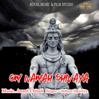 Om Namah Shivaya