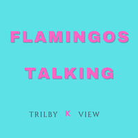 Flamingos Talking