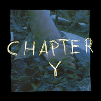 Chapter Y