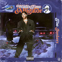 WinterTime Alligator