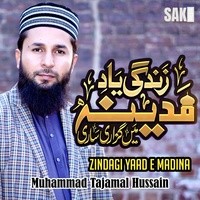 Zindagi Yaad E Madina