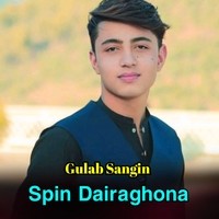 Spin Dairaghona