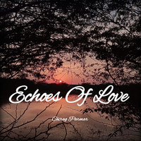 Echoes Of Love