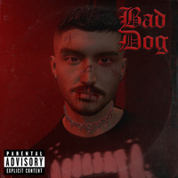 Bad Dog Song Download: Play & Listen Bad Dog all MP3 Song by Onyx @Gaana