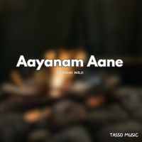 Aayanam Aane