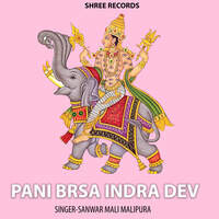 PANI BRSA INDRA DEV